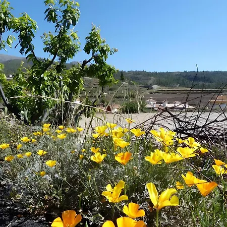 German בית הארחה 3*
