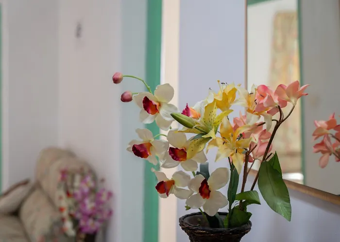 Germán Affittacamere