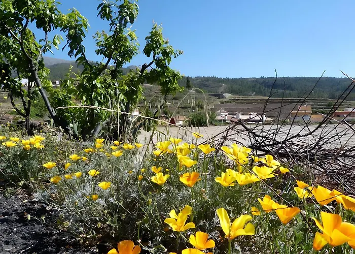 German Maison d'hôtes 3*